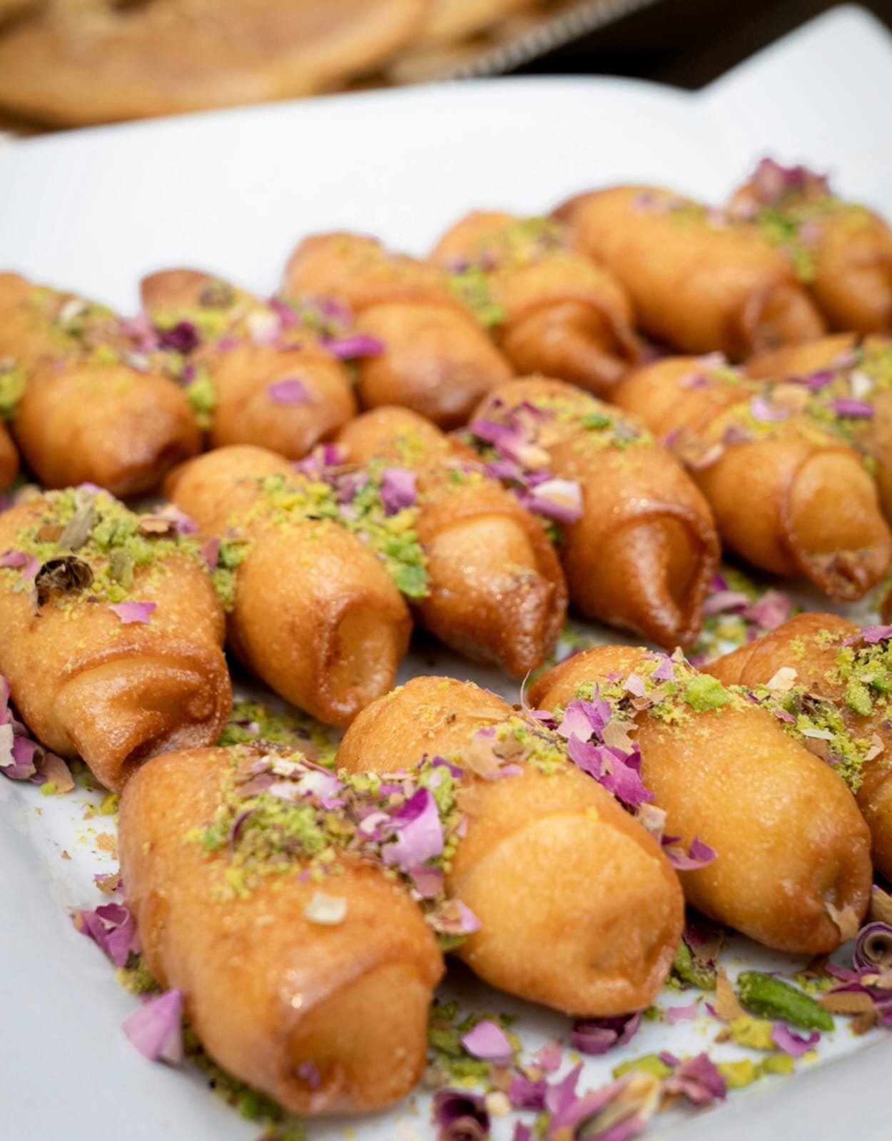 whatsapp image 2026 02 25 at 8.07.50 pm